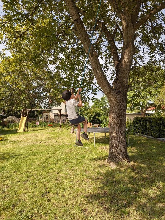 Ferienhaus Lausitz Lauta Εξωτερικό φωτογραφία